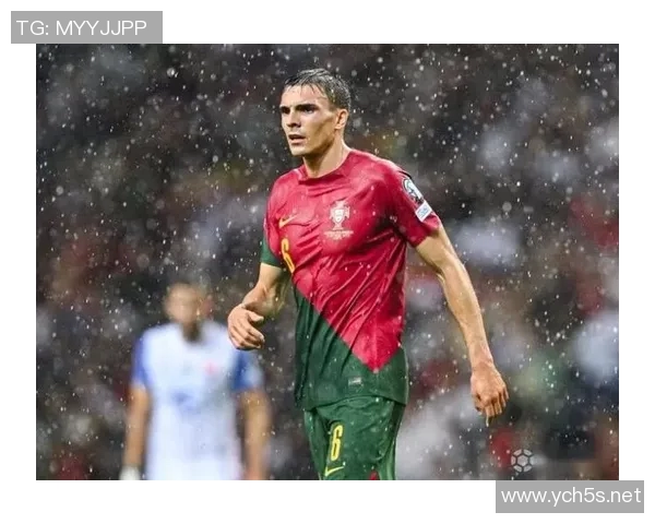 世界杯预选赛葡萄牙帕利尼亚中场拦截关键